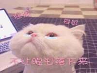 郑州高禾电子科技有限公司