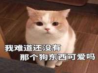 郑州高禾电子科技有限公司