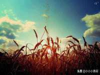 郑州高禾电子科技有限公司