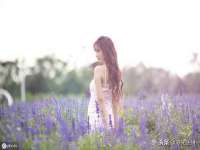 郑州高禾电子科技有限公司