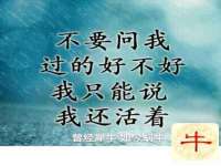 郑州高禾电子科技有限公司