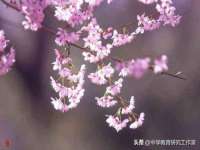 郑州高禾电子科技有限公司