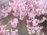 郑州高禾电子科技有限公司