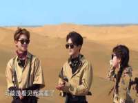 郑州高禾电子科技有限公司