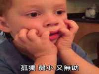郑州高禾电子科技有限公司