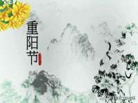 郑州高禾电子科技有限公司