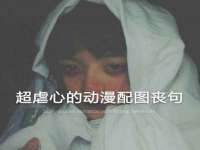 郑州高禾电子科技有限公司