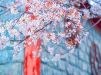 郑州高禾电子科技有限公司