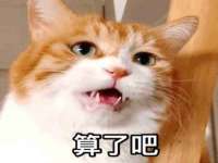 郑州高禾电子科技有限公司