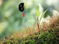 郑州高禾电子科技有限公司