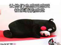 郑州高禾电子科技有限公司