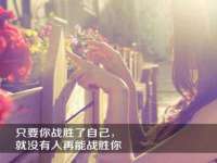 郑州高禾电子科技有限公司