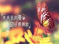 郑州高禾电子科技有限公司