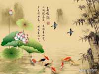 郑州高禾电子科技有限公司