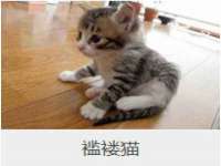 郑州高禾电子科技有限公司