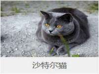 郑州高禾电子科技有限公司