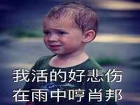 郑州高禾电子科技有限公司