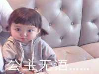 郑州高禾电子科技有限公司