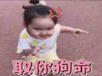 郑州高禾电子科技有限公司