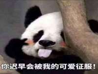 郑州高禾电子科技有限公司