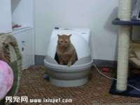 郑州高禾电子科技有限公司