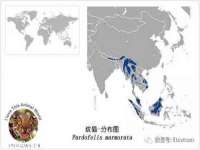 郑州高禾电子科技有限公司