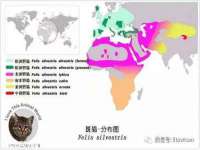 郑州高禾电子科技有限公司