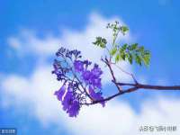 郑州高禾电子科技有限公司