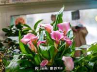 郑州高禾电子科技有限公司