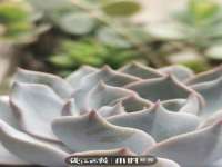 郑州高禾电子科技有限公司