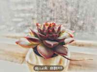 郑州高禾电子科技有限公司
