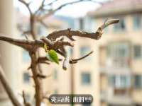 郑州高禾电子科技有限公司