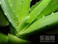 郑州高禾电子科技有限公司