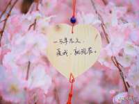 郑州高禾电子科技有限公司