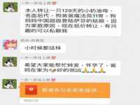 郑州高禾电子科技有限公司