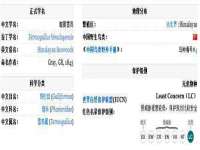 郑州高禾电子科技有限公司