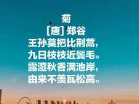 郑州高禾电子科技有限公司