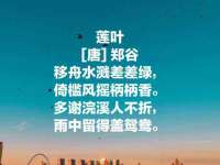 郑州高禾电子科技有限公司