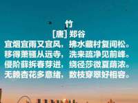 郑州高禾电子科技有限公司