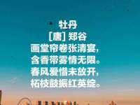 郑州高禾电子科技有限公司