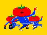 郑州高禾电子科技有限公司