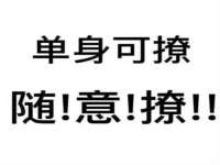 郑州高禾电子科技有限公司