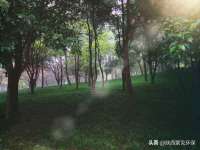 郑州高禾电子科技有限公司