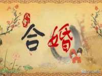 郑州高禾电子科技有限公司