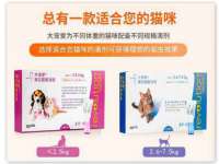 郑州高禾电子科技有限公司