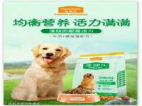 郑州高禾电子科技有限公司