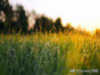 郑州高禾电子科技有限公司
