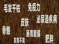 郑州高禾电子科技有限公司