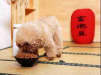 郑州高禾电子科技有限公司