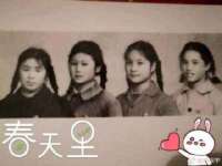 郑州高禾电子科技有限公司